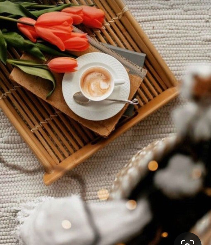 Screenshot_20230905_015519_Pinterest