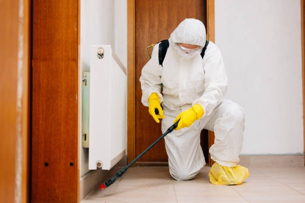 Orlando pest control