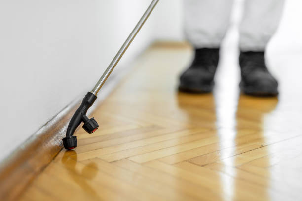 Pest Control Orlando