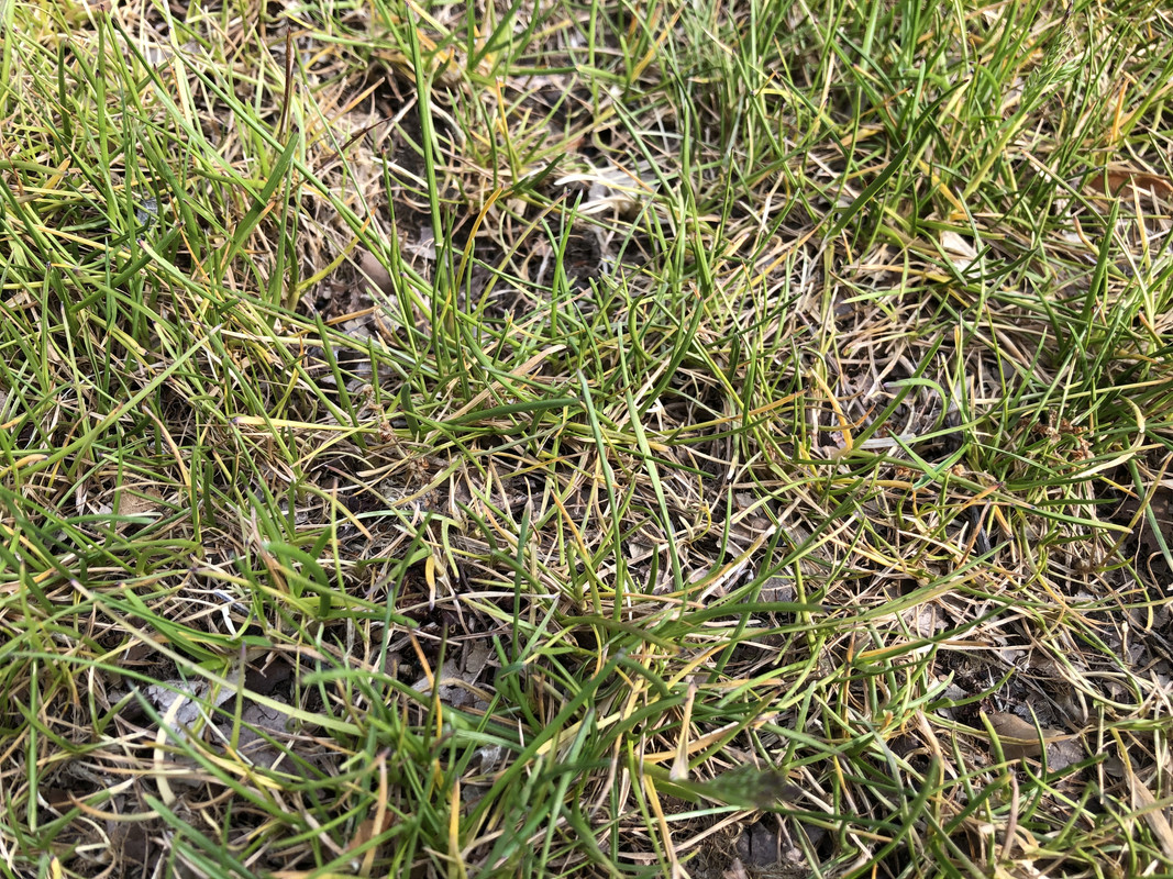 18B6438F-B5D0-4747-8C60-7C6C2B443C69