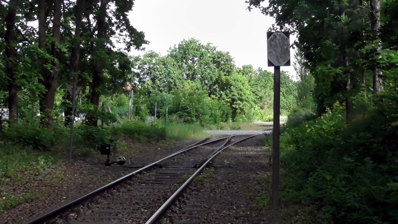 S1470174