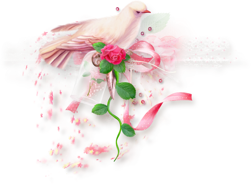 DoveCluster1