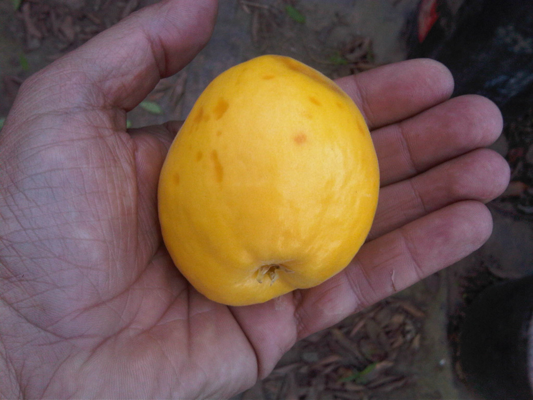 IMG00202-20130607-1902