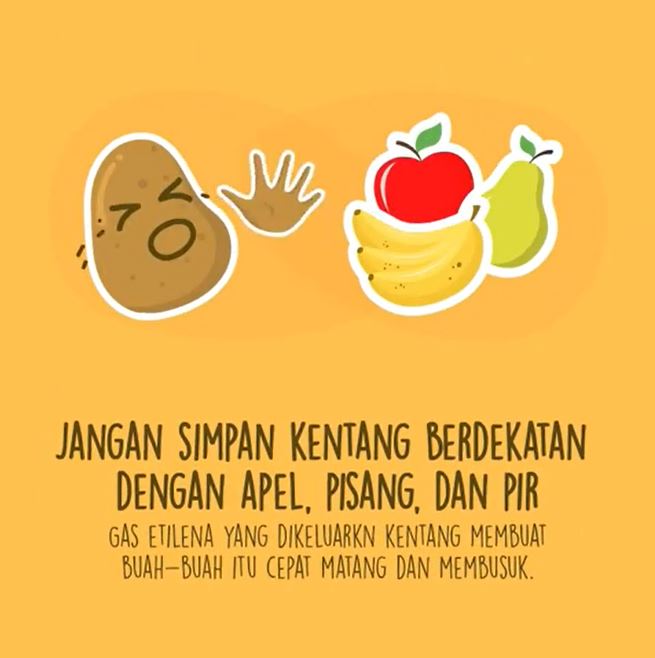 Jangan simpan kentang bersama apel, pir dan pisang