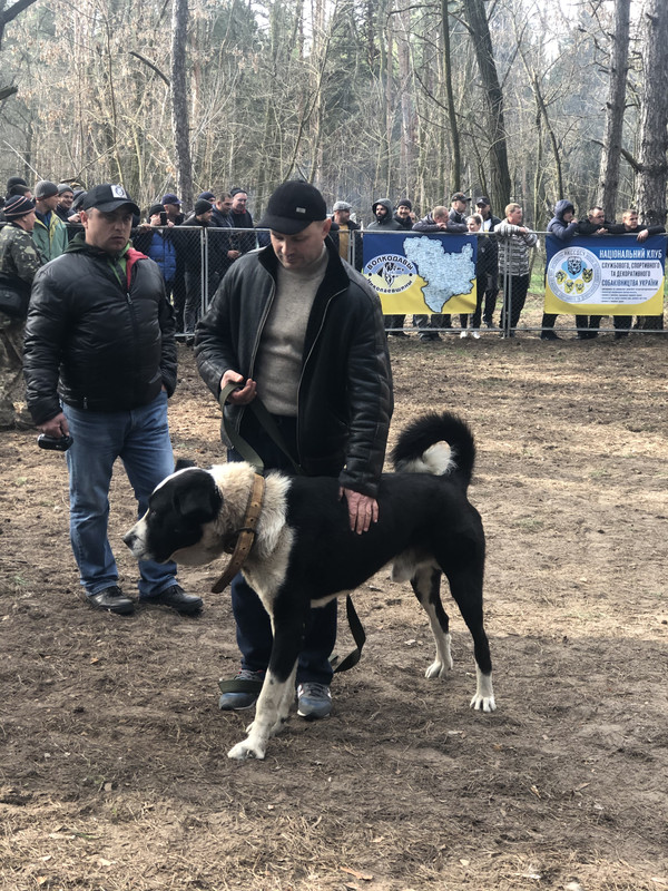 958AAE27-D949-484E-85E5-694F2E8D9FCE