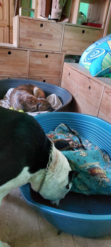 34B40655-96C6-4EA1-81CF-E251F9AC0AF5