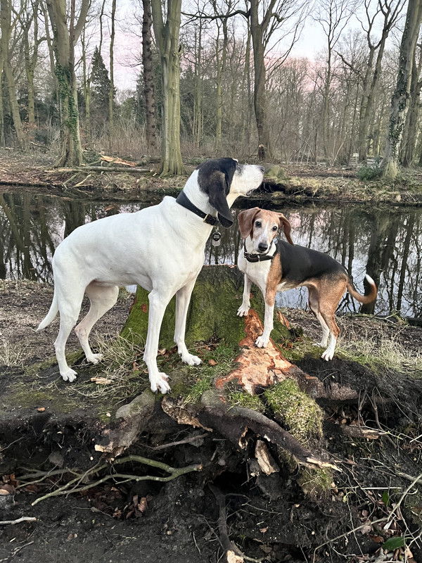 2BB999A2-6C25-4F82-AE2A-20CAE7A34441