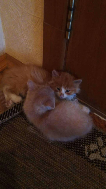 ПерваяПартия6