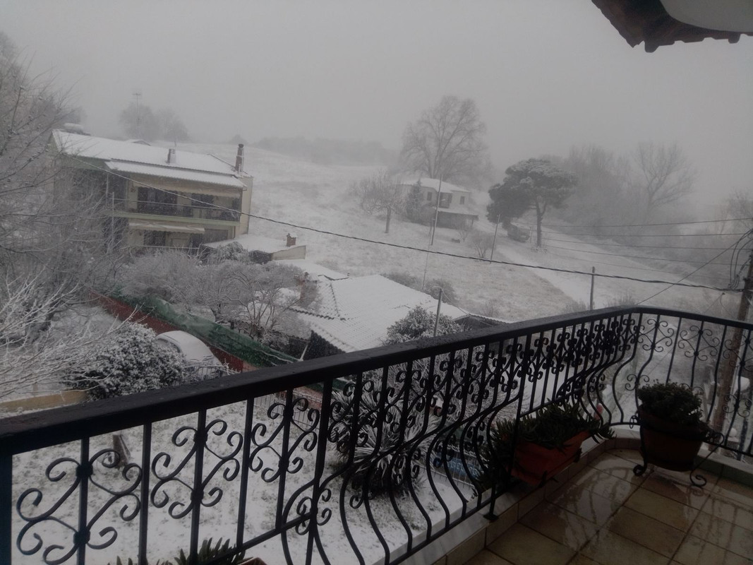 εικόνα_Viber_2023-02-05_13-25-38-854