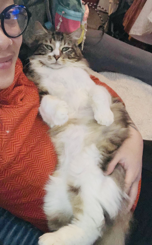 0372F830-986C-4F1E-8C03-5F8828D115C9