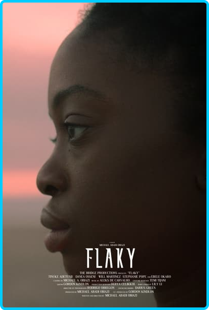 Flaky-2021-1080p-WEBRip-x265-RARBG.png