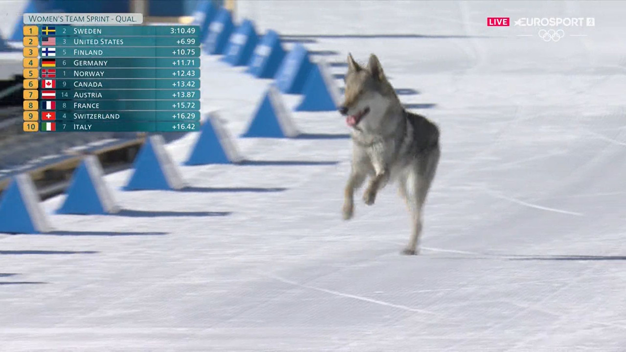 Schránka 02 18 2026 01