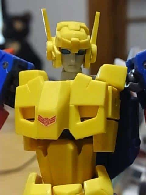 12661976_952696754816734_7519382359238760000_n