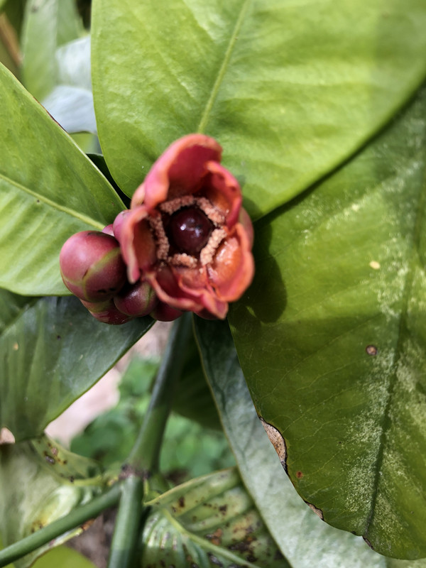 F4DFAD9B-C4A4-4B18-83FD-15FA562BCFC9