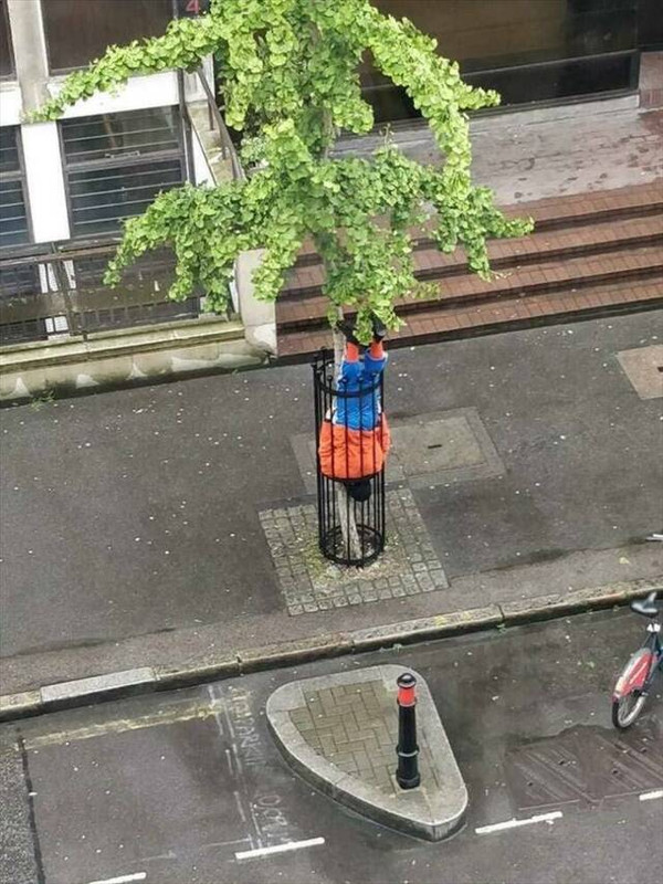 picdump-kw43-2022-084.jpg