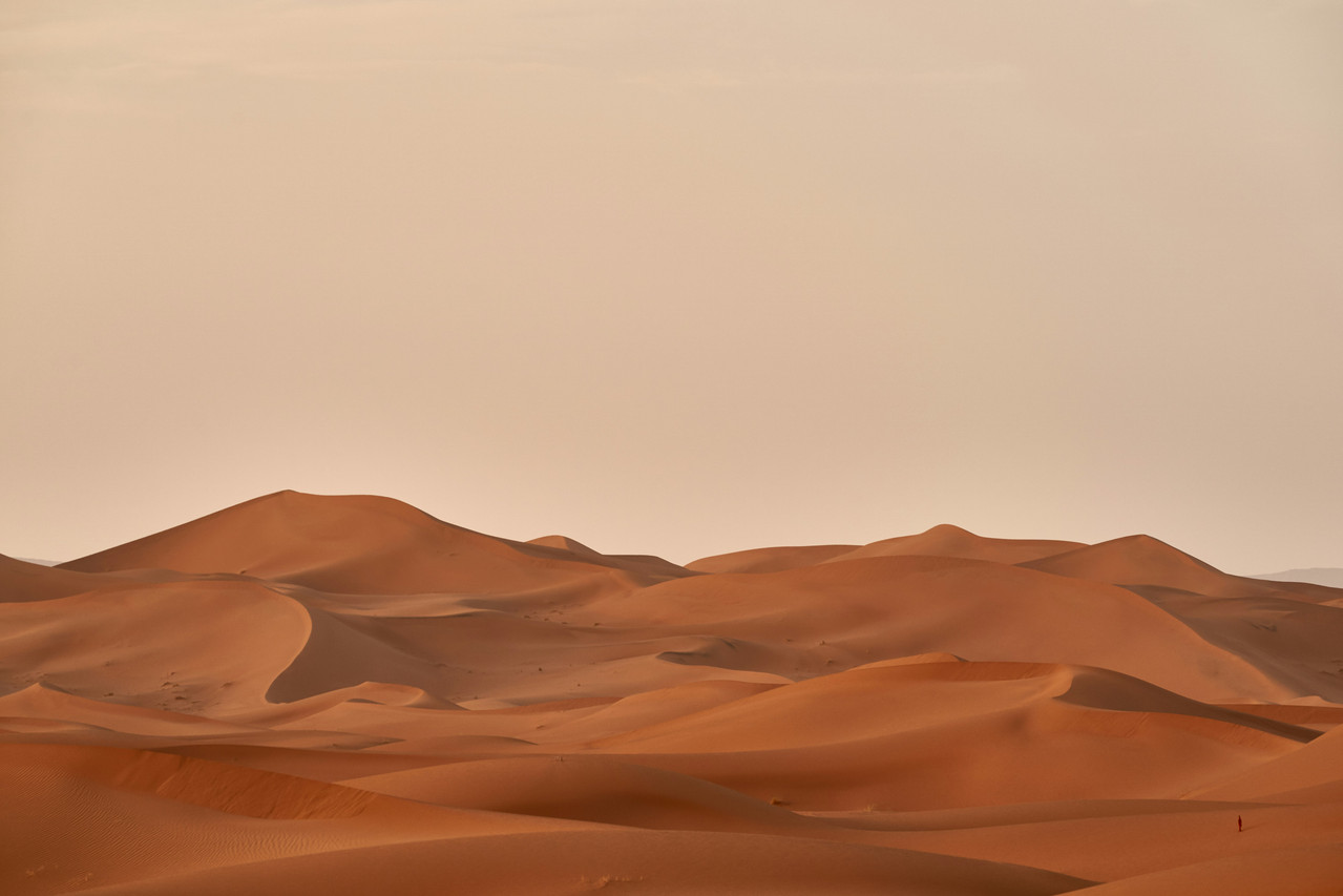 Desert dunes at sunset