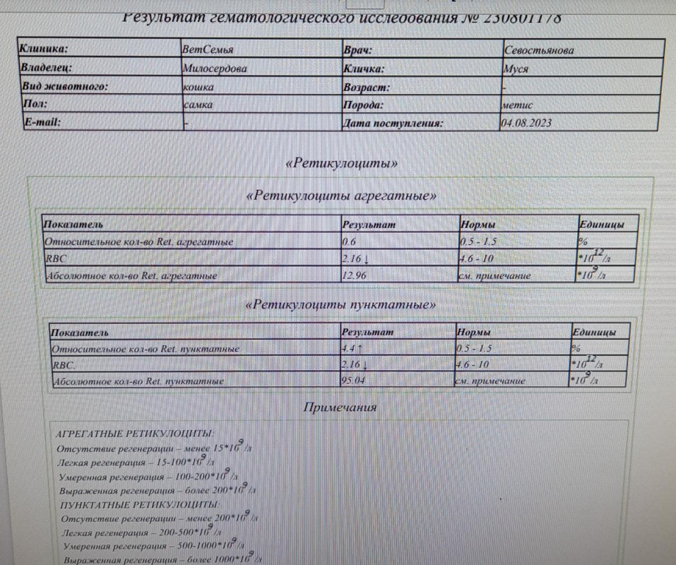 0defc0c6-fd90-4cc9-ad96-728325462bee