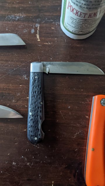 PXL_20210812_233730558