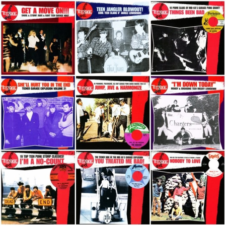 06dcc633 a083 4bbc 80ef 2c6733e49f70 - VA - Teenage Shutdown! [15LP] (1998-2000) [Hi-Res]