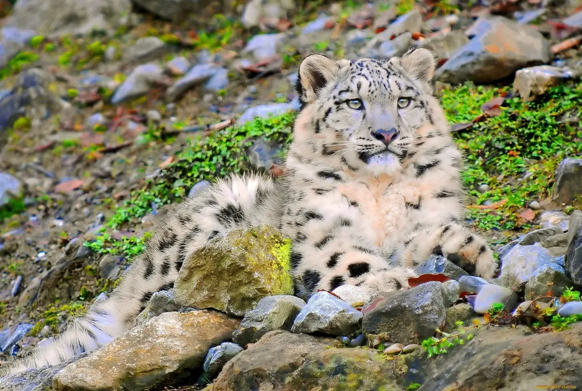 9CC76FCB-84BF-4283-93D9-CDA0D530A960