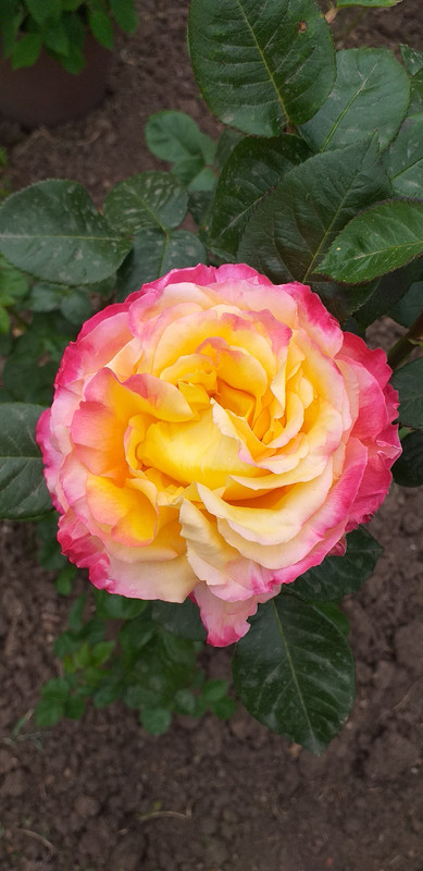 20190505_102939