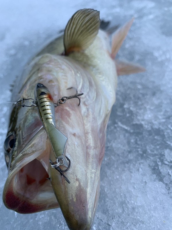 67419E31-10CA-4D9A-BF0F-EA25E224B664