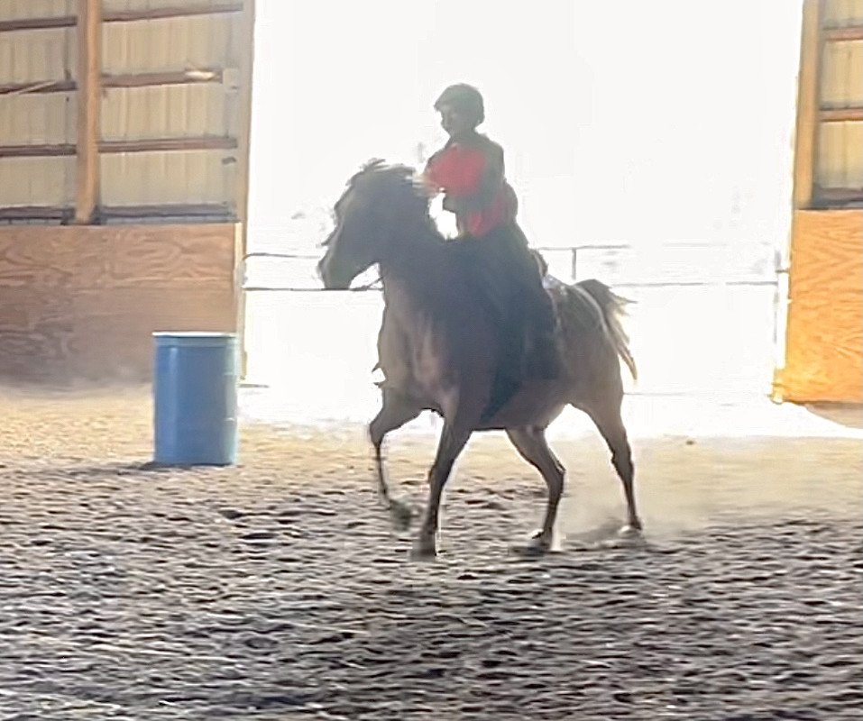 35542D20-D10A-48DD-BB5B-ABA553E423EF