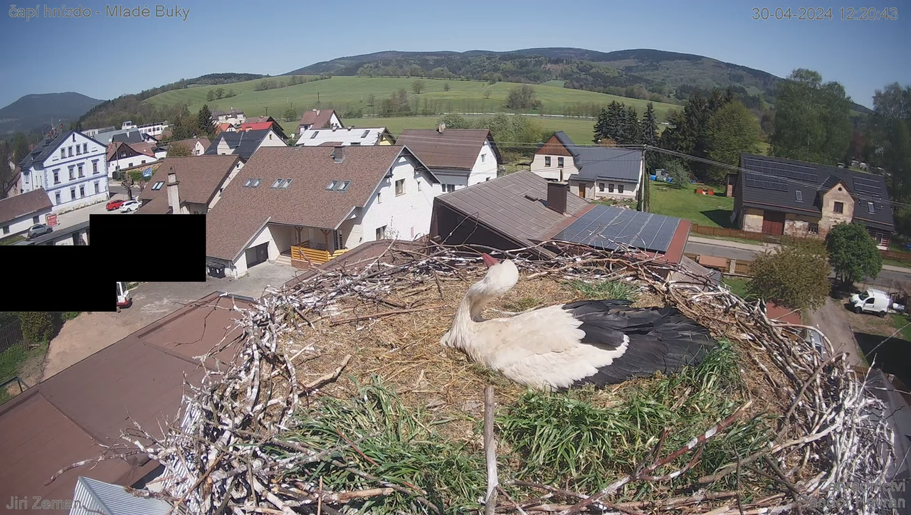 Tiešraides kamera — Mladé Buky — stārķa ligzda 12-25-24 screenshot