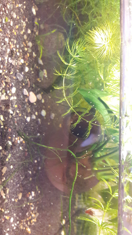 56BAEB4F-FCF4-4E49-929B-BECB5CE70383