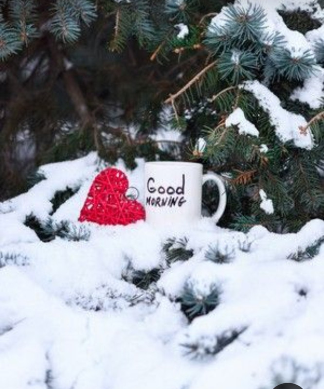 Screenshot_20240212_210831_Pinterest