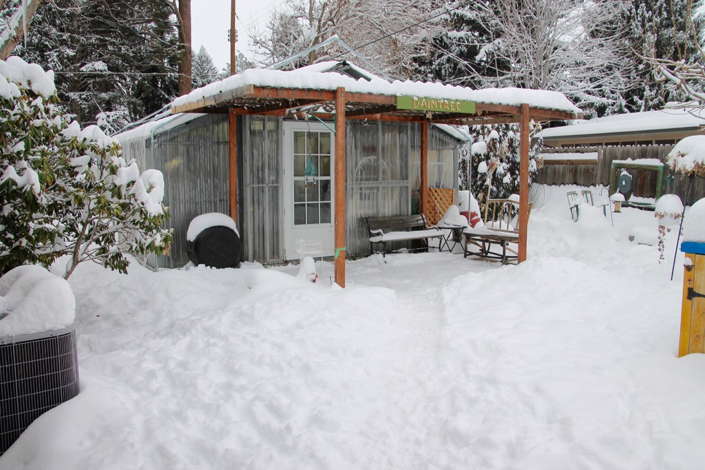 Greenhouse in deep snow