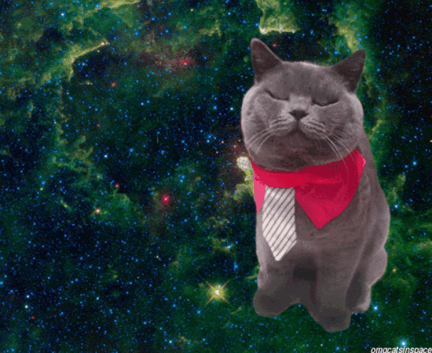 GIF-20250825-072636-244.gif