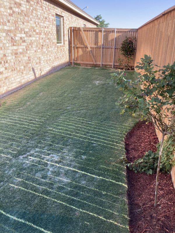 2B4CFF95-14B2-4BBC-BA2A-CE7A28D4817F