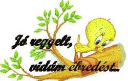 https://i.postimg.cc/66b4bZcg/jooreggelt-vidam-ebredest.jpg