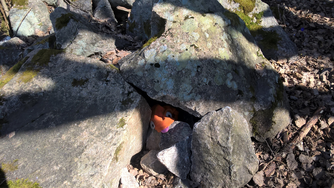 WP_20160421_13_44_08_Pro