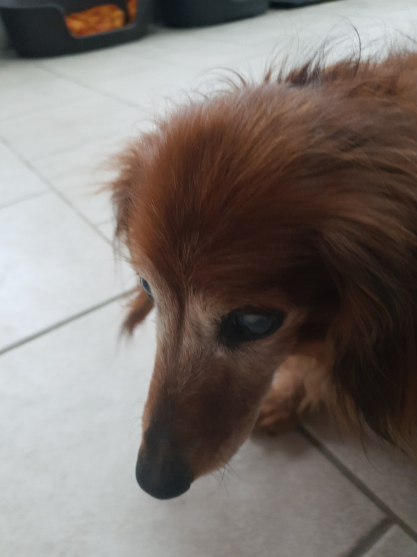 [Image: 20220112-113232.jpg]