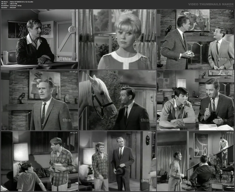 Mister Ed S06E02 Ed-a-Go-Go.mkv