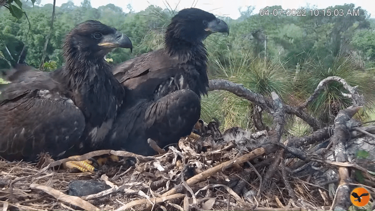 Webp.net-gifmaker (1)