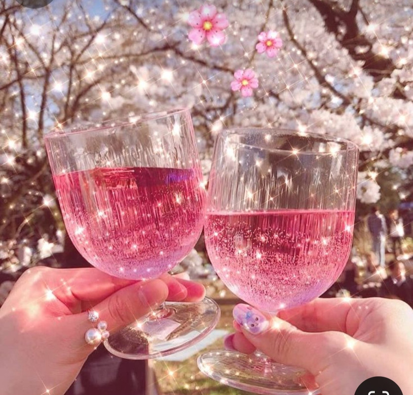 Screenshot_20240601_154947_Pinterest