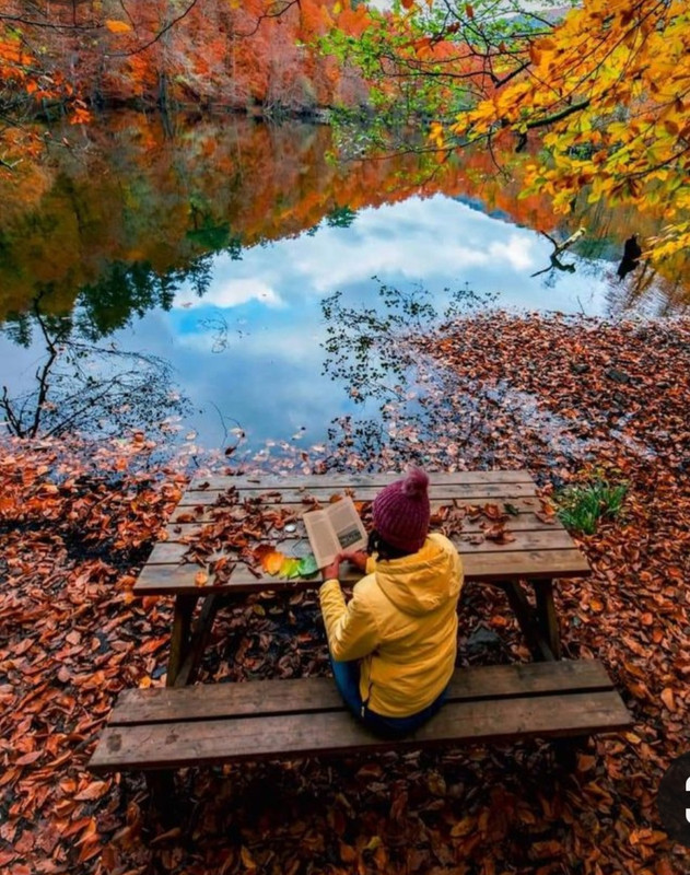 Screenshot_20231112_211955_Pinterest