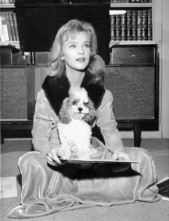 anne_francis_b30