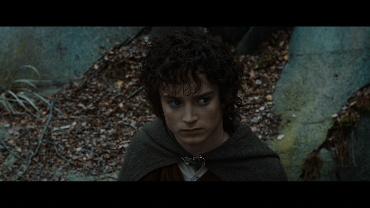 The Lord of the Rings- The Fellowship of the Ring (EXT.).mkv_snapshot_01.14.16_[2020.12.05_22.58.13]