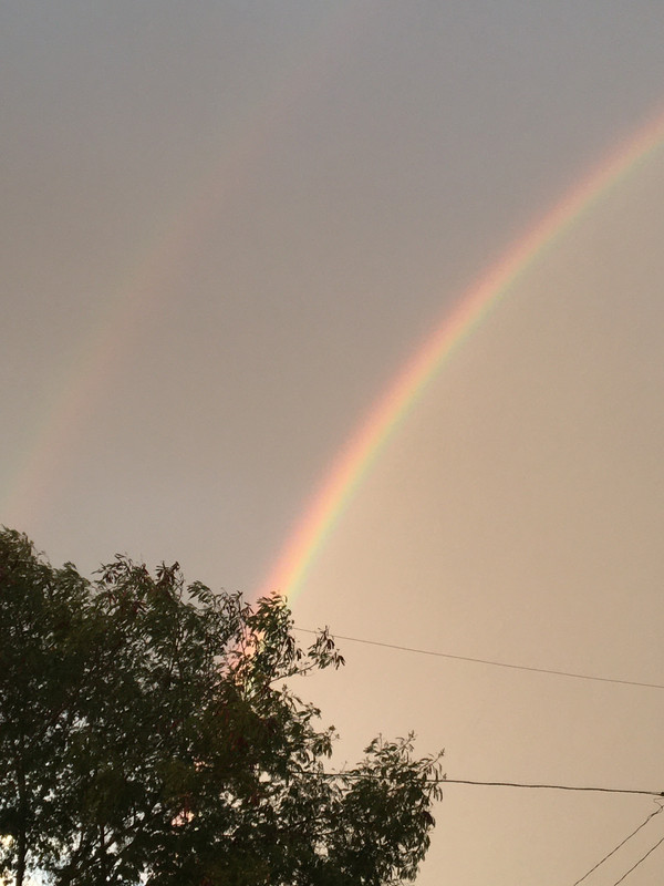 when life gives you rain, it makes a rainbow (2021)