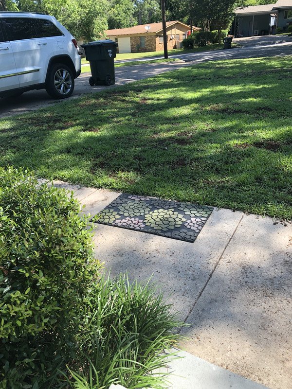 C37EF313-5A84-423E-9F03-EFCB2E67A88B