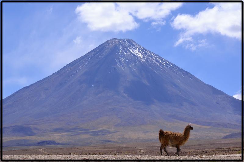 DE ATACAMA A LA PAZ. ROZANDO EL CIELO 2019 - Blogs de America Sur - ANEXO I. CARRETERAS (10)