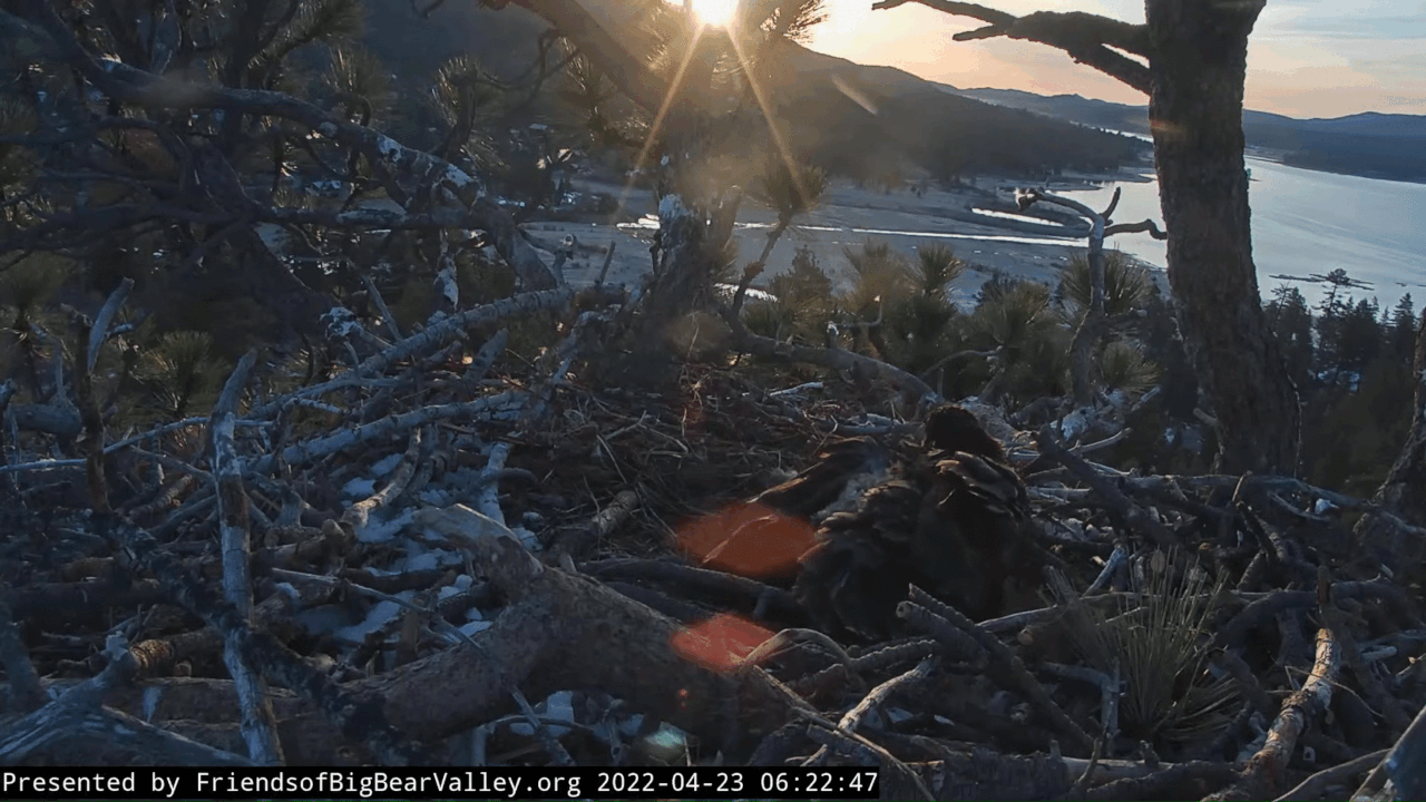 Webp.net-gifmaker (3)