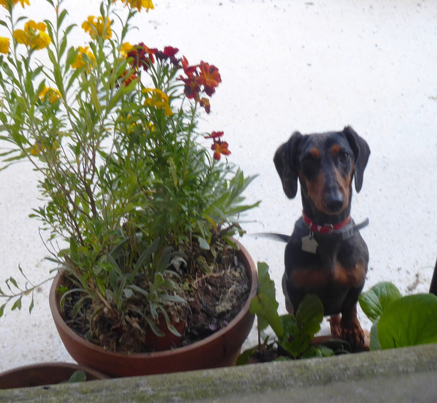 [Image: P1020690.jpg]