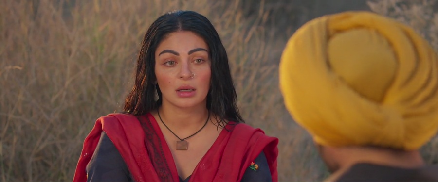 Shayar 2024 WebRip [Punjabi] 480p, 720p ESub Screenshot