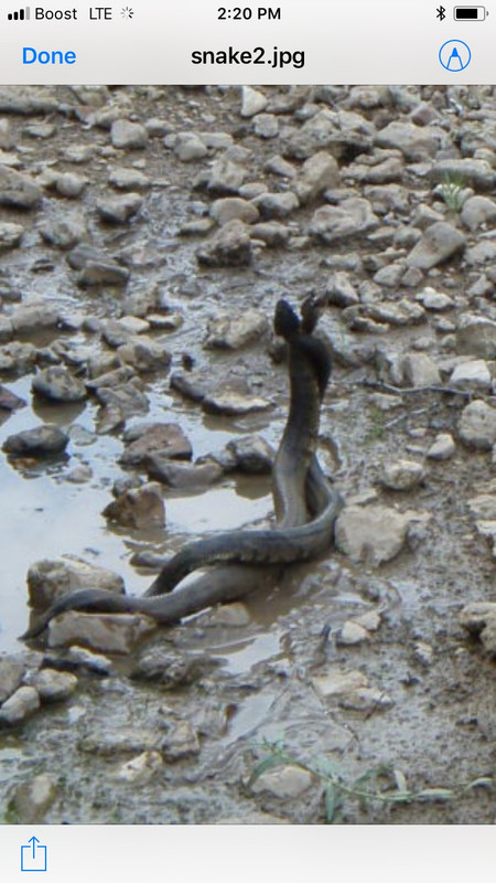 332D38BC-6B2F-4BE8-99C6-F82700F30357