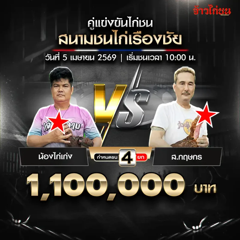 โปรแกรมไก่ชน คู่ น้องไก่เก่ง vs ส.กฤษกร สนามชนไก่เรืองชัย